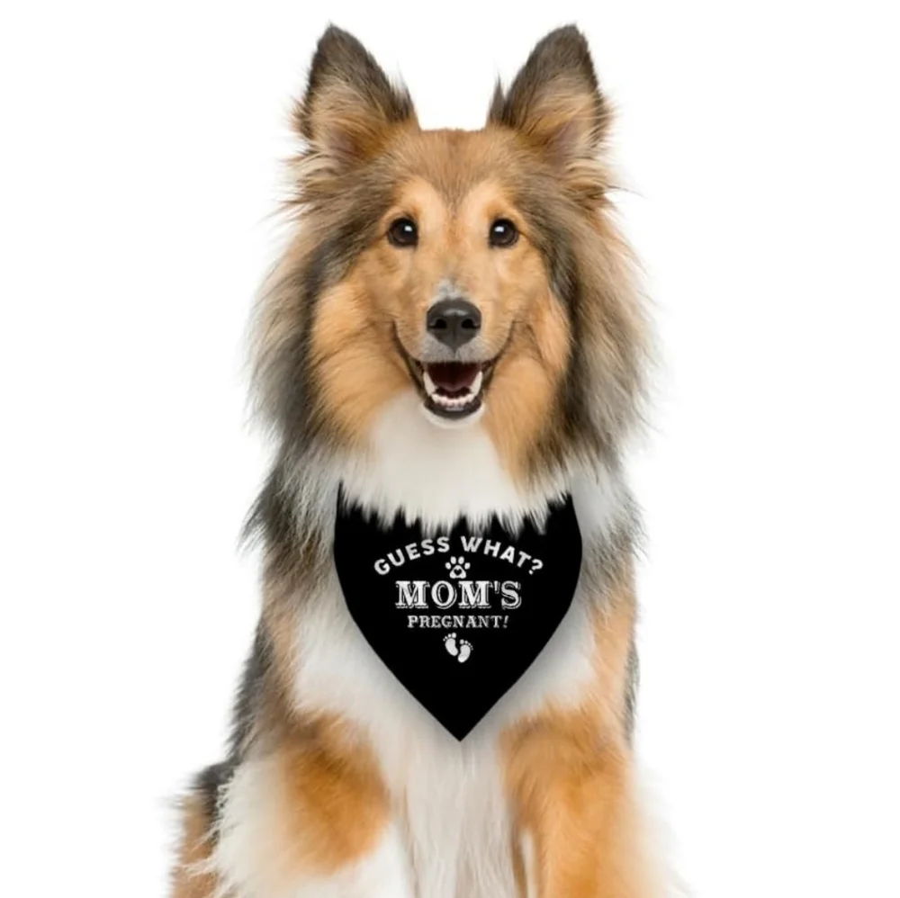 *3/$20 Black Dog Bandana 